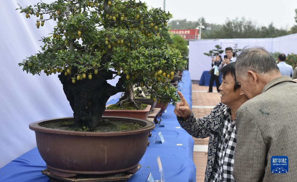 微星棋牌官方